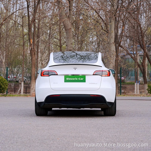 Pure electric SUV tesla model y